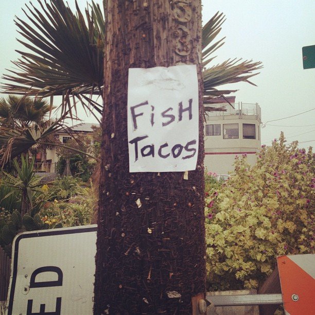 Fish Tacos - What more could you want?